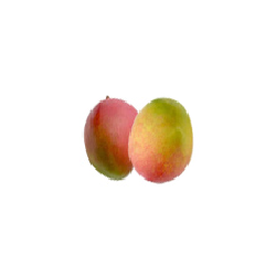 アップルマンゴー（ヘイデン種・ケント種など）