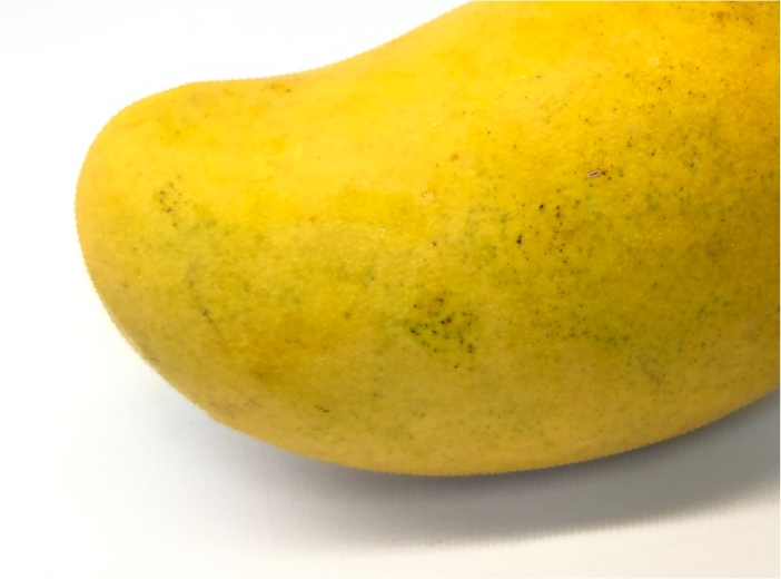 その甘さはギネス級！主にセブ島ビサヤ地方の“カラバオマンゴー”を使用